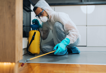 Sanitization Services